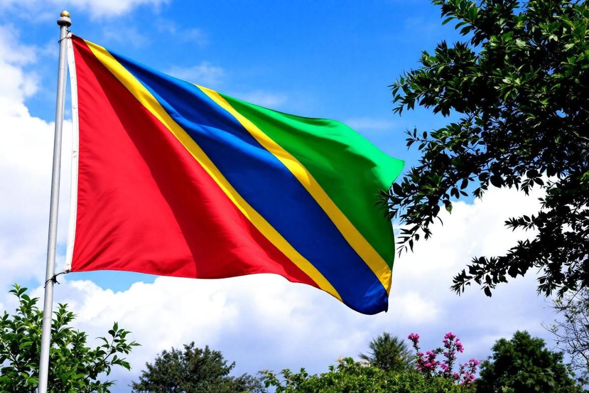 drapeau de la république du congo