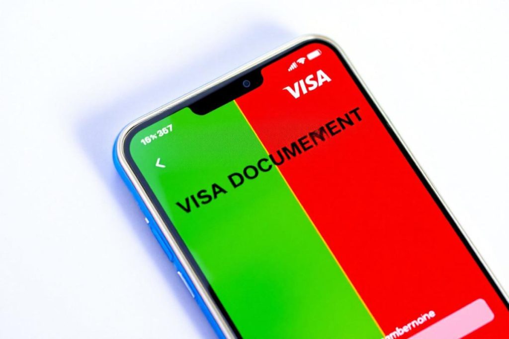 E-Visa Cameroun 2024 : délais réels, procédure et tarifs pour voyageurs